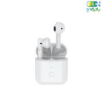 cqy-t8-Earbuds-type